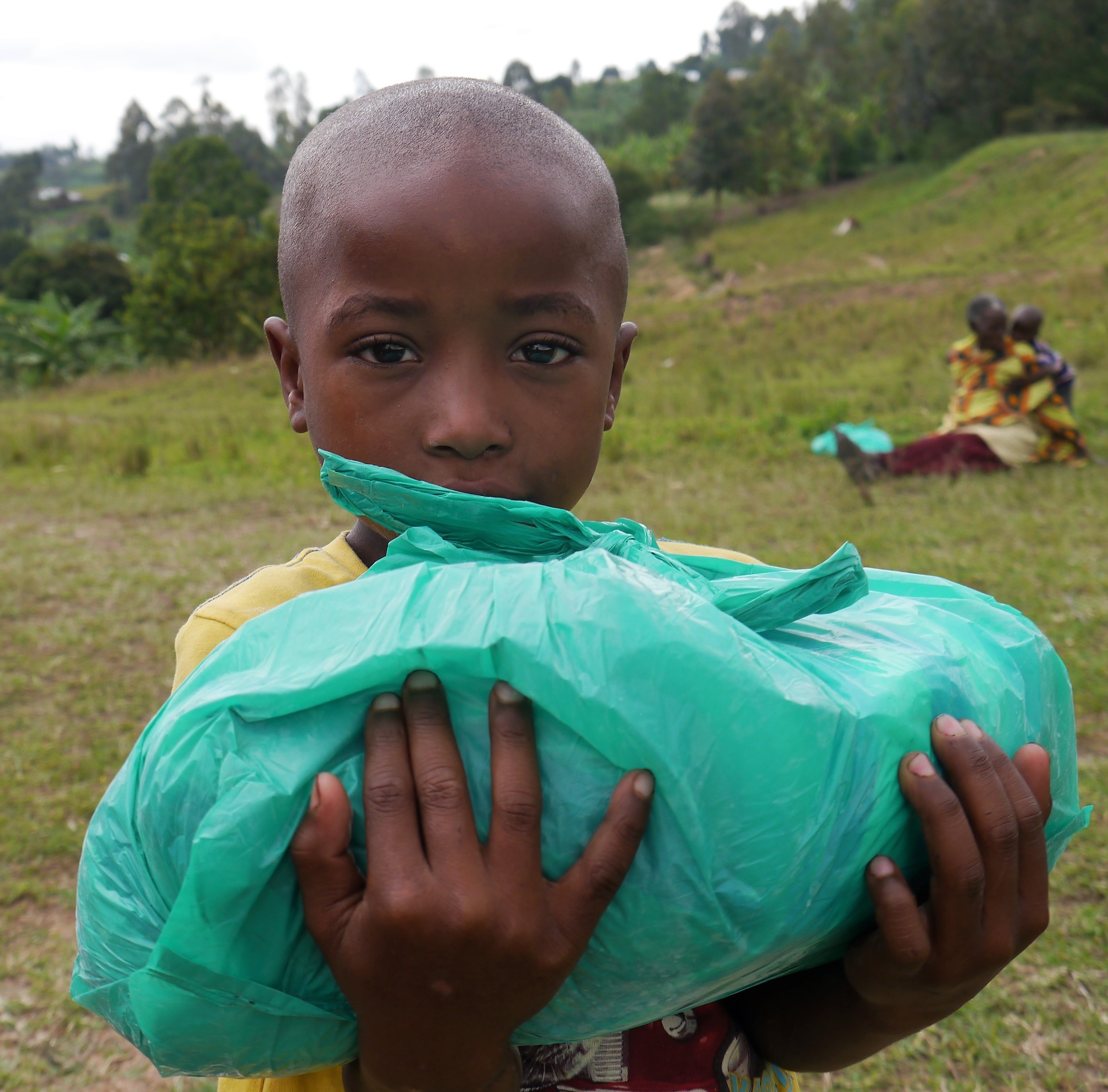 A bag of essential food items