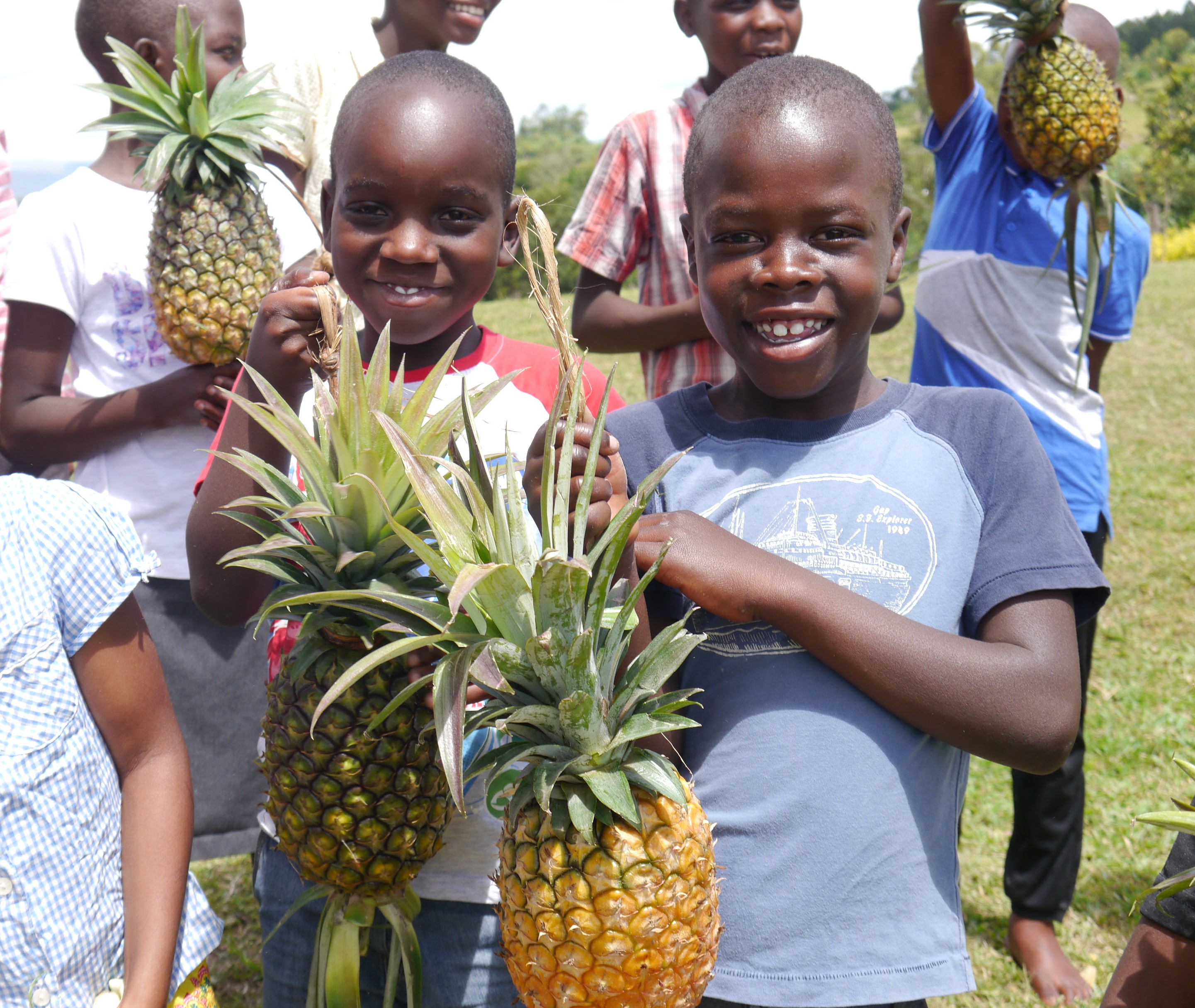 Enjoying fresh Pineapples