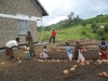 Gardening